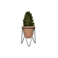 thumbnail image 4 of Creative Co-Op Terracotta Pot with Metal Stand (Set of 2 Pieces), 4 of 5