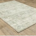 thumbnail image 3 of Avalon Home Silvana Distressed Traditional Area Rug, 5'3" X 7'3", Silver/ Ivory, 3 of 10