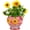 Red & Daisy (Dia.: 9inch & H: 8inch), variant on Sungmor Ceramic Hand Painted Succulent Flower Pots, 9 Inch Large Pottery Pots for Indoor Outdoor Plants, Decorative Ceramic Vase for Flower Arrangement Home Decor, Vintage Centerpieces Flowerpot
