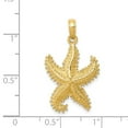 thumbnail image 3 of FB Jewels 14K Yellow Gold Polished Open-Backed Starfish Pendant, 3 of 3