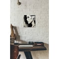 thumbnail image 5 of Epic Art 'Tequila Mockingbird' by Chuck Wimmer, Acrylic Glass Wall Art, 12"x12", 5 of 12