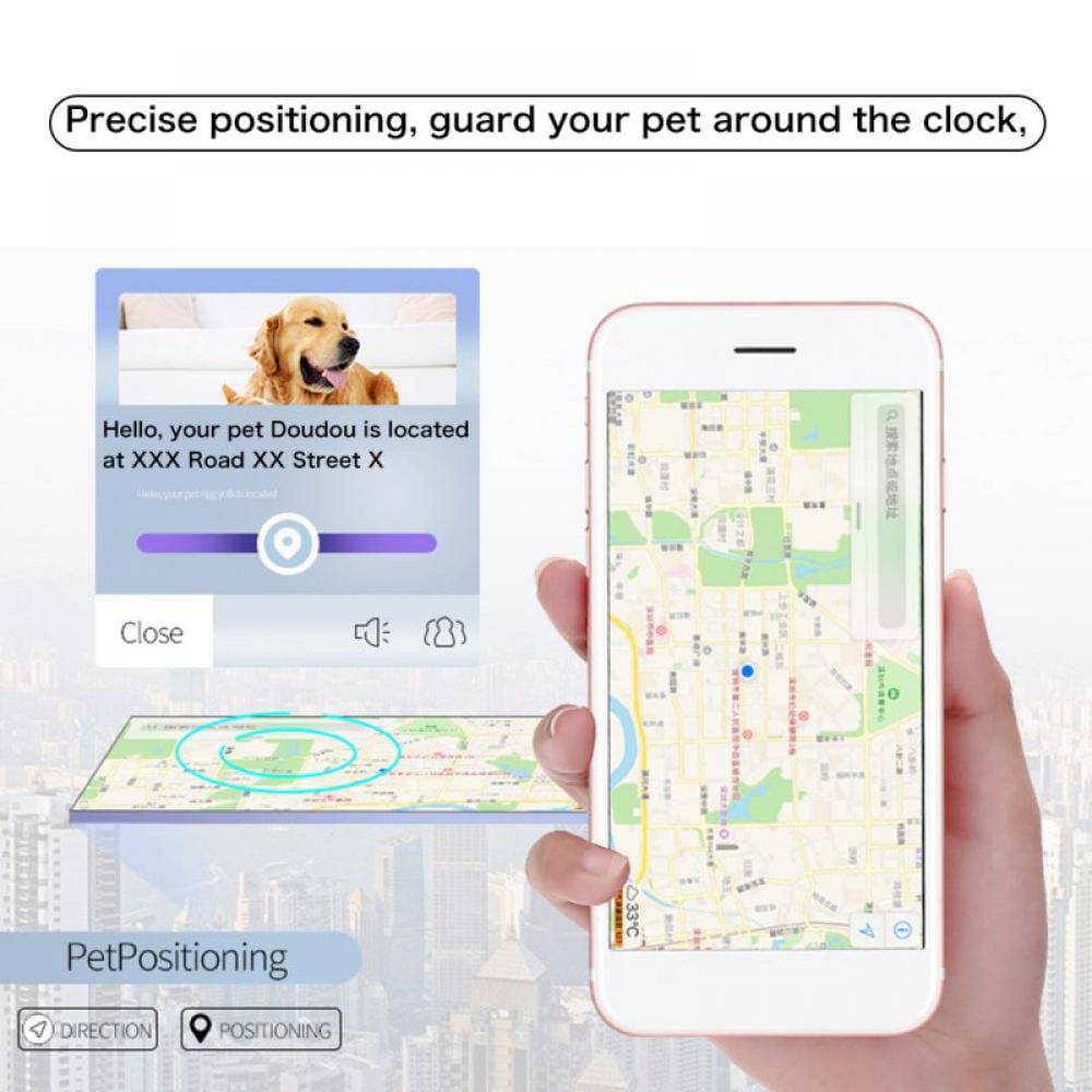 Dog GPS & Health tracking, $19/month