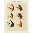 thumbnail image 2 of Marbury, Mary Orvis 15x18 Gold Ornate Wood Framed with Double Matting Museum Art Print Titled - Lake Fishing Flies VI from Favorite Flies and Their Histories, 2 of 4