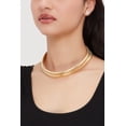 thumbnail image 2 of Women's Double Snake Chain Necklace and Stud Earrings, 2 of 2