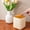 Beige, variant on Countertop Trash Can Push Button Plastic Wastebasket Small Recycle Bin for Bedside Table Desktop Office Bedroom Kitchen Bathroom Coffee Table Hidden Inner Bucket Storage