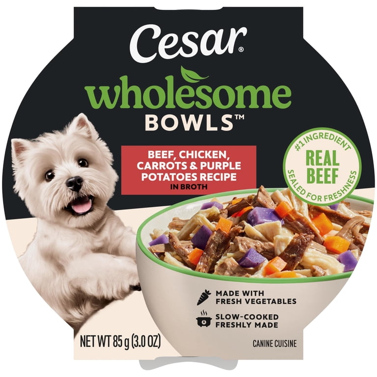 Cesar Wholesome Bowls Beef & Vegetables Wet Dog Food, 10 Bowls photo 2