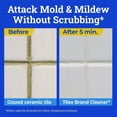 thumbnail image 6 of 128 oz. Disinfects Instant Mold and Mildew Remover Refill (4/Carton), 6 of 12