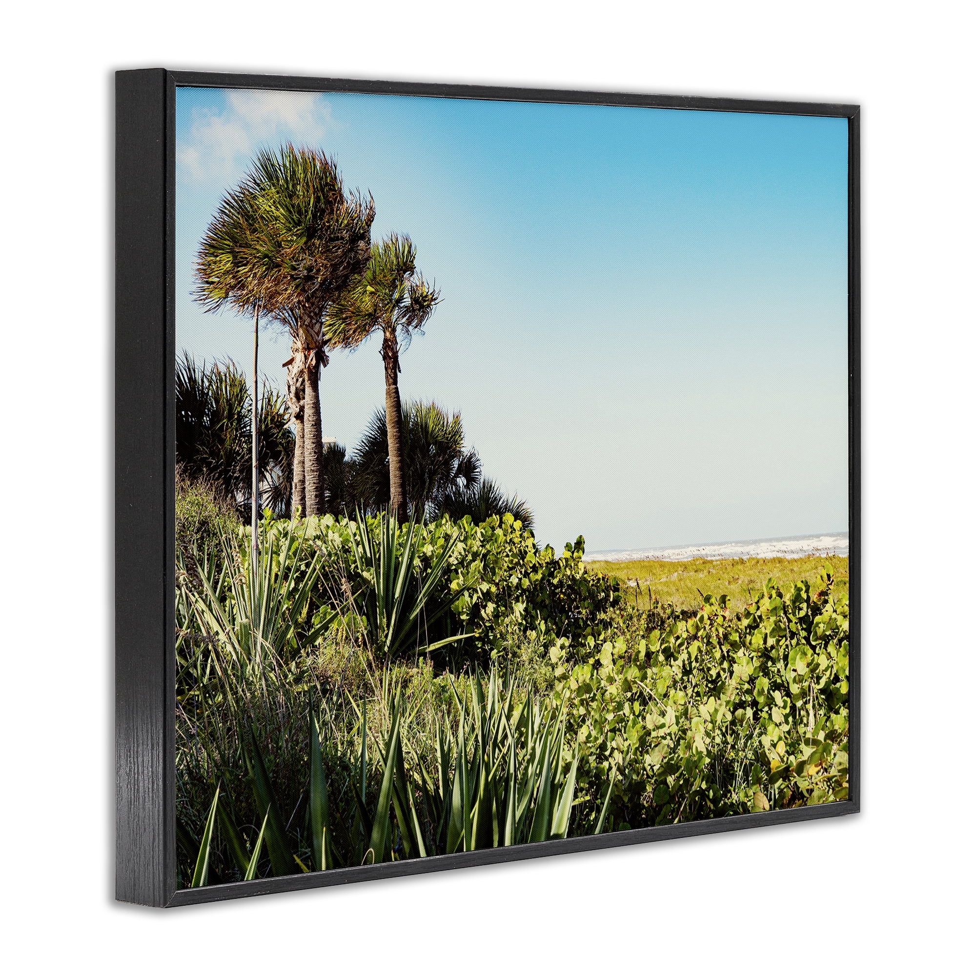 Stupell Industries Lush Tropical Shoreline Landscape Photography Black Framed Art Print Wall Art, 30 x 24