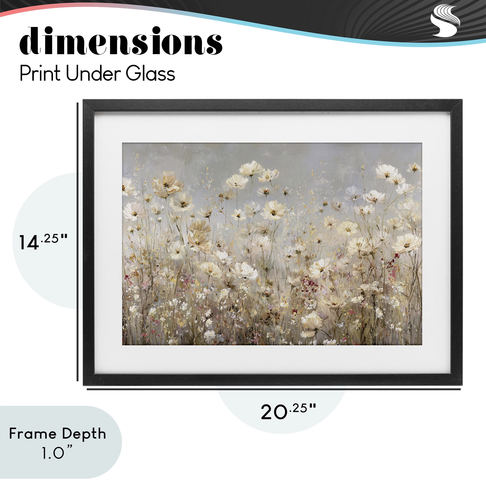 Stupell Industries White Daisy Clusters Meadow Black Framed Print Under Glass, design by Jacky Ngan