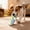 C(2PCS), variant on 2PCS 2026 Pet Gifts Shoe Shaped Chew Suitable For Small Dogs. Durable And A Squeaking Sound Helps To Care For Teeth And Allows Puppies To Enjoy The Pleasure Of Biting. Pet Toys