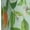 Black, variant on Tangerine Men's Straight Lounge Pajama Pants: The Ultimate in Comfortable Sleepwear
