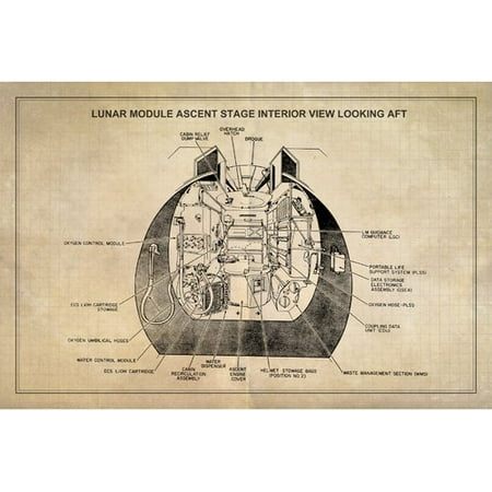 Marmont Hill u0022Ascent Stageu0022 Licensed Smithsonian Print on Canvas