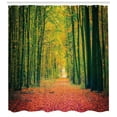 thumbnail image 3 of Ambesonne Fall Shower Curtain, Warm Autumn Dramatic Road, 69"Wx70"L, Green, 3 of 3