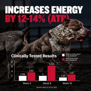 Bully Max Liquid Muscle Gain Supplement