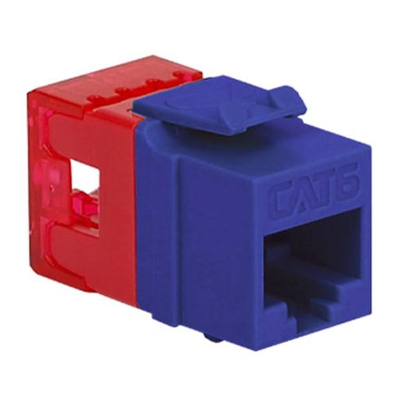 MODULE- CAT 6- HD- PURPLE BY ICC