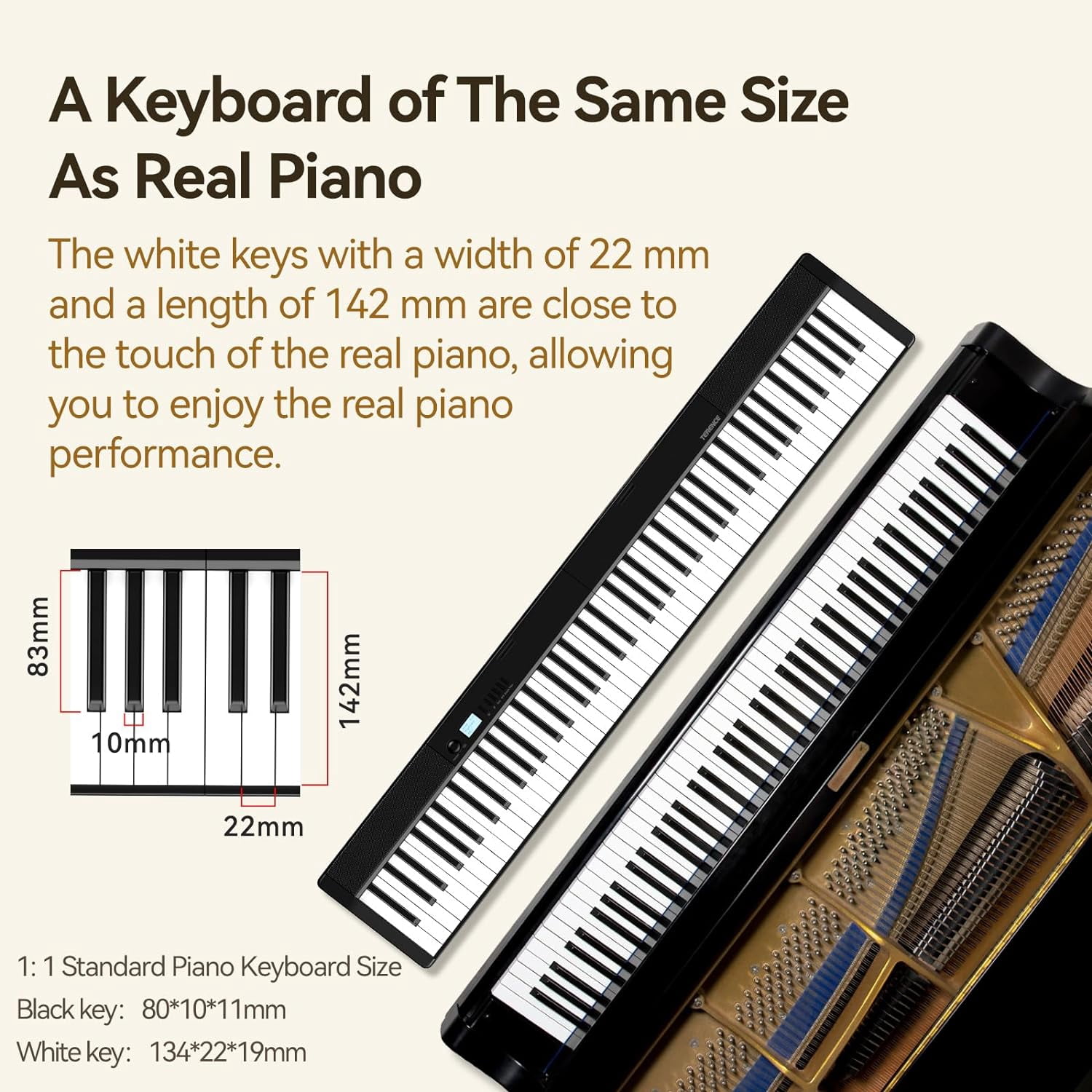 Terence 88-Key Folding Digital Piano Keyboard, Weighted, Full Size with 2X5W Speakers, Music Stand, Earphones and Sustain Pedal