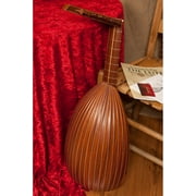 Roosebeck Deluxe 7-Course Lute Sheesham