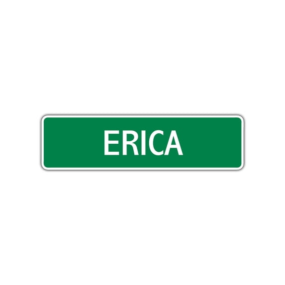 Erica Girls Children Name Letter Printed Indoor Outdoor Unique Wall Novelty Plaque Decoration Label Aluminum Metal Sign 4"x13.5"