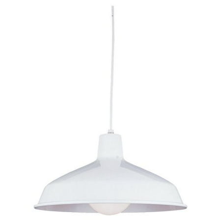 Sea Gull Lighting 6519 Painted Shade 1 Light Barn Light Pendant