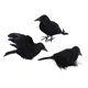 thumbnail image 5 of Cuervos de Halloween Macarena Cuervos decorativos con plumas negras Estilo C, 5 of 8