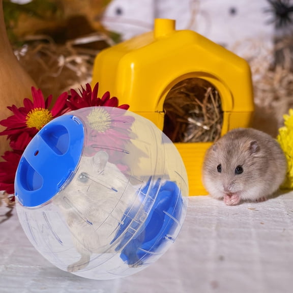 BESTYASH 2pcs Blue Small Pet Exercise Ball for Hamsters Gerbils and Other Small Animals Interactive Fun