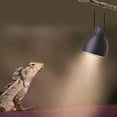 thumbnail image 4 of Black Metal Lamp Hanger Clips for Reptiles with Durable Quality 6 Pieces, 4 of 8