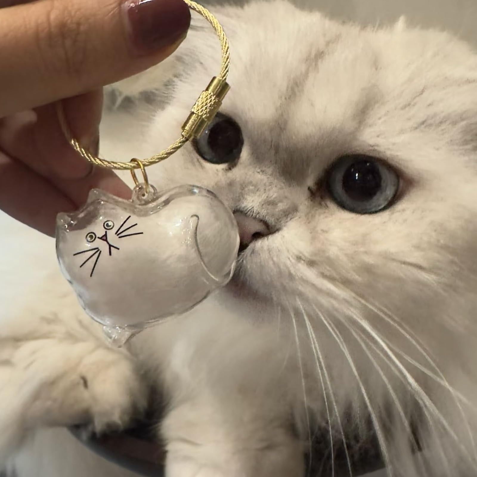 Cat Hair Keepsake Capsule Keychain, Pet Memorial Bottle for Collecting and Storing Cat Hair, Portable Hair Storage Jar for Cat Lovers and Pet Loss Remembrance Gifts