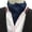 LJB-8, variant on Men Classic Paisley Polka Dots Floral Cravat Scarves Ascot Wedding Party Necktie