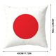 thumbnail image 3 of Lekihaqq Sports Fan Throw Pillow Cover Flag Printed Decorative Cushion Case Soft Polyester For Living Room Car Bar Bedroom, 3 of 5