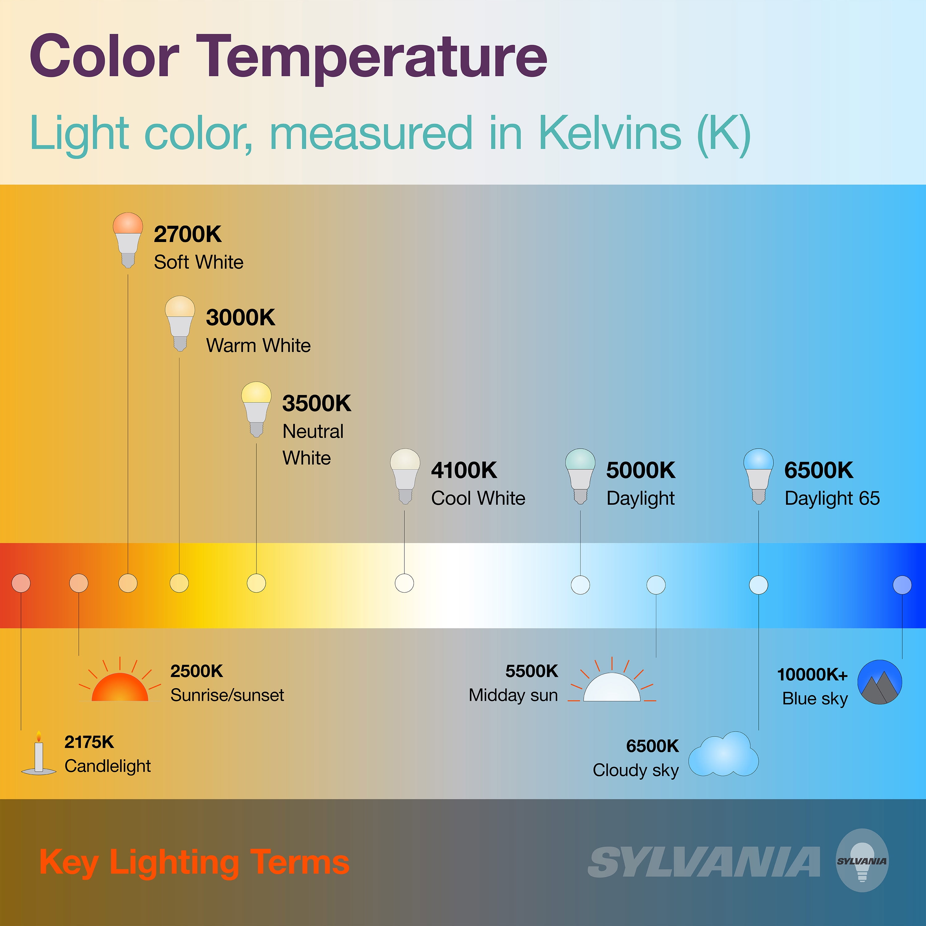 SYLVANIA LED Reduced Eye Strain Light Bulb, A19, 8W, Dimmable, Frosted 5000K, Daylight, 4 Pack