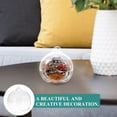thumbnail image 4 of 12 Pcs Jardinière Suspendue en Verre Transparent pour Succulentes avec Crochet, 4 of 9