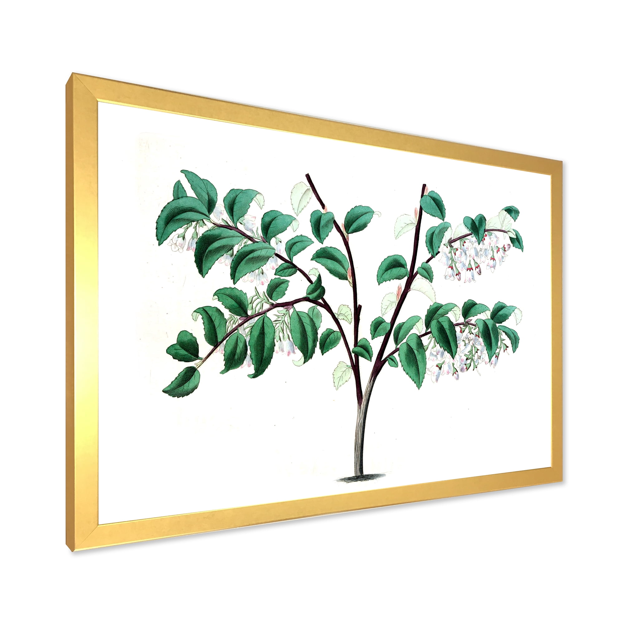 Designart 'Ancient Green Leaves Plants I' Traditional Framed Art Print
