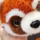 thumbnail image 3 of Almohada de Panda Que Se Convierte en Muñeco de Mapache en la Cama para Dormir de los Niños, Regalo de Cumpleaños y Graduación, 45 cm, 3 of 10