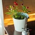 thumbnail image 3 of Spiral Tomato Stakes Plant Support Weather-Resistant Climbing Vegetable Supports For Garden 43Cm Green Iron Stakes With 12Cm Tie Line A, 3 of 10