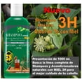 thumbnail image 2 of Shampoo Árbol de Té con Miel 1000 ml 3H. Anticaspa, Antiséptico, Detox, 2 of 4