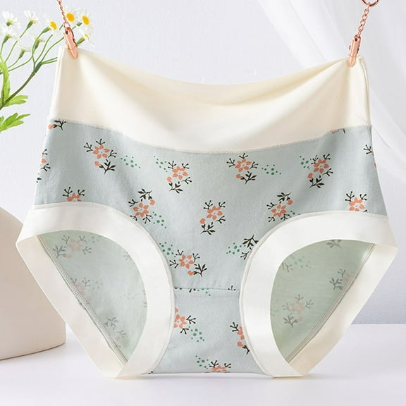 Dxzfnsa Seamless Underwear for Women Soft No Show Panties Sexy High Cut Invisible Hipster Silky Cheeky Ladies Bikini womens underwear cotton