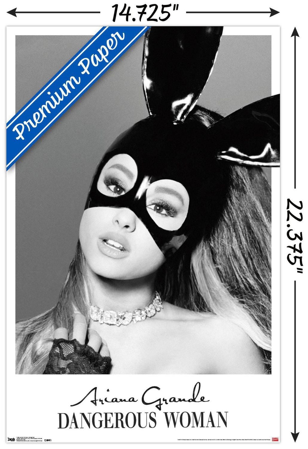 Ariana Grande - Dangerous Wall Poster