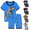 thumbnail image 4 of NOLDARES Infant Baby Boys Shorts Sets Clothes 2pcs Summer Outfit Vibrant Graphic Short Sleeve Tee Shirt Comfy Shorts Pockets(AG,150), 4 of 8