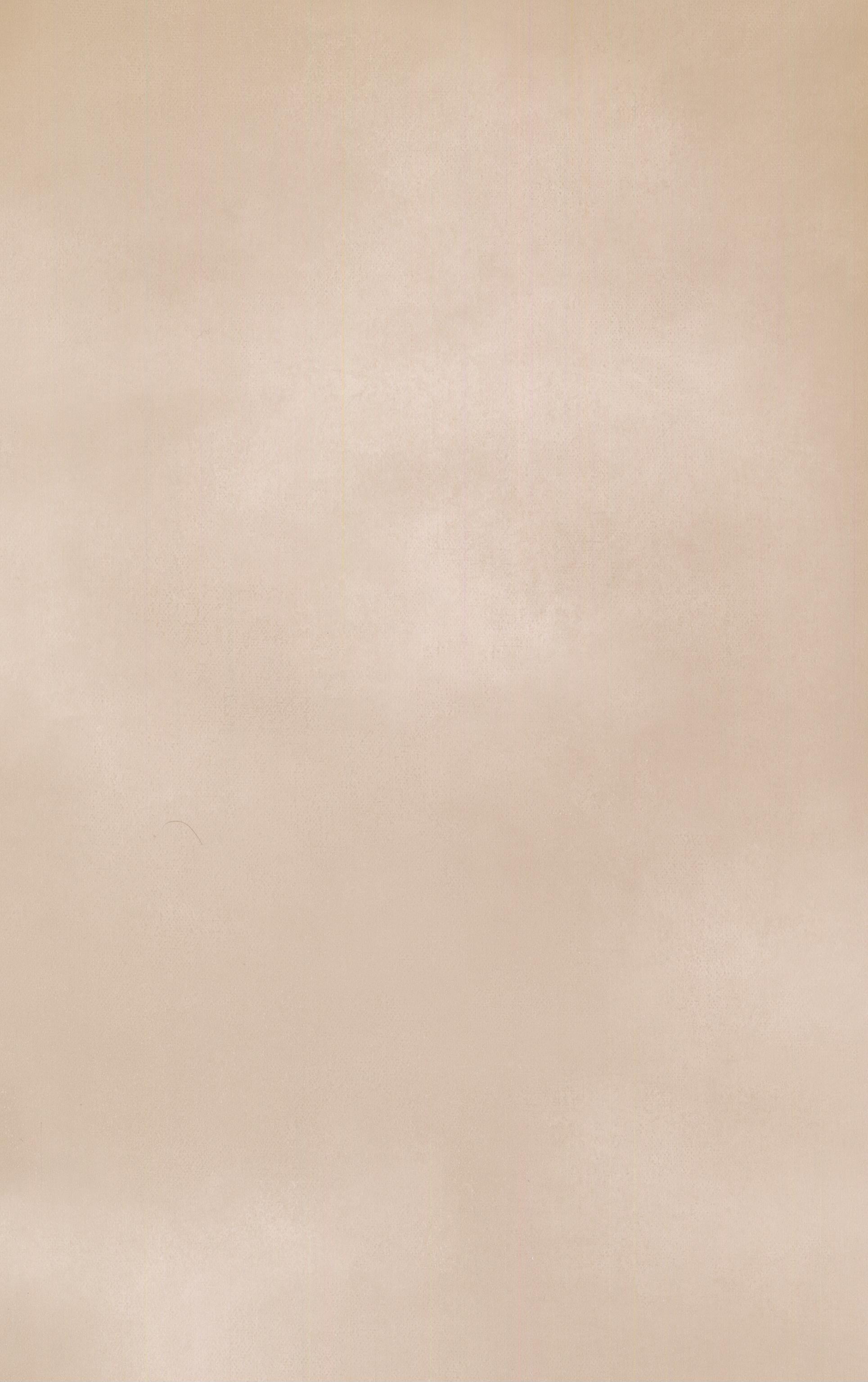 SOLID Modern Prepasted Color Cream Wallpaper Roll Walmart Canada