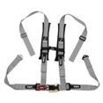 thumbnail image 1 of Dragonfire Grey 4 Point Seat Harness Gray H-Style, 1 of 1