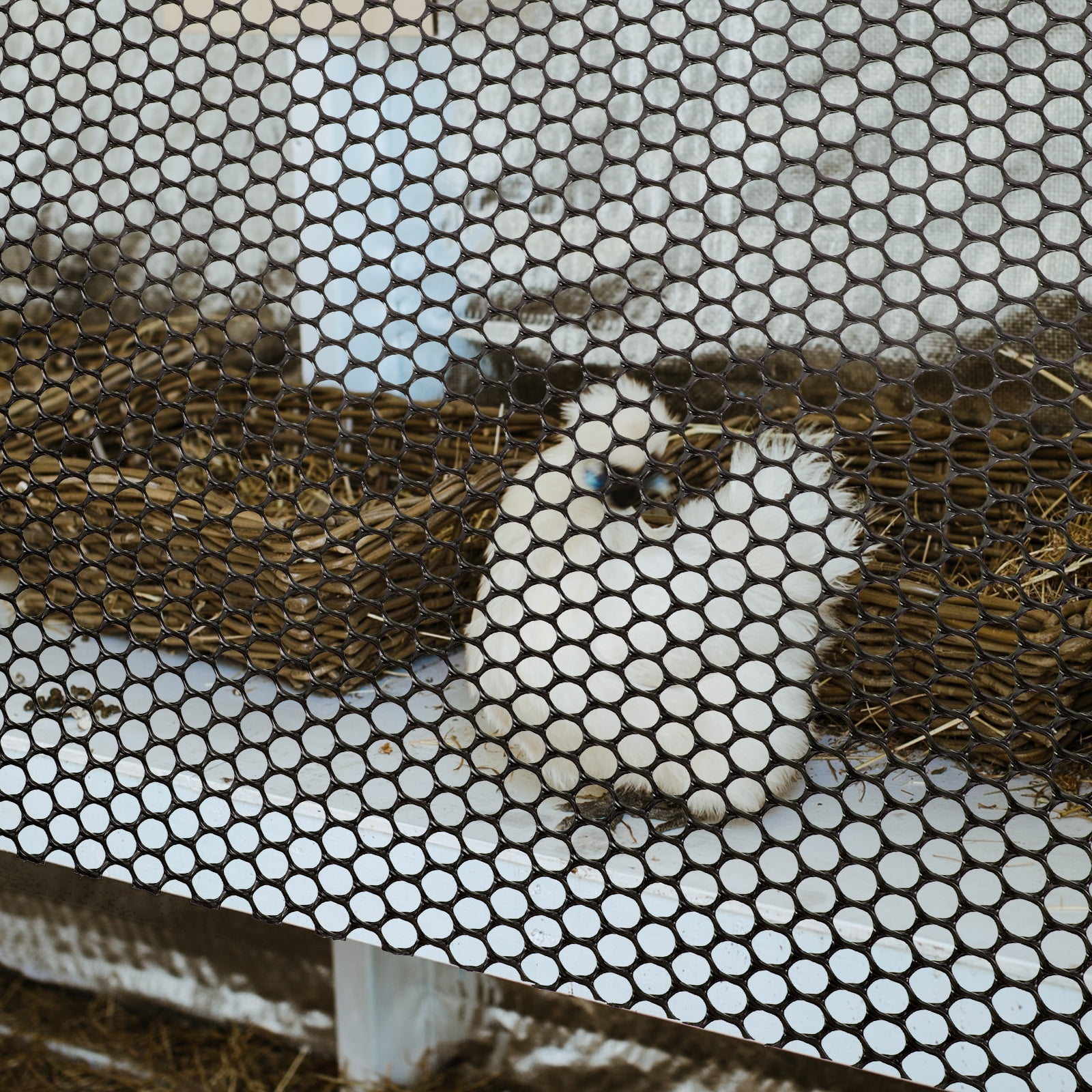 Baluue Garden Fence Roll Wire Fence Net Black Plastic 1 Roll 117.90X15.72X0.08in