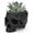 Skull Black, variant on Fountwell Resin Skull Planter with Drain Hole Gothic Flower Pot Candy Bowl for Home Office Desk White