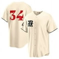 thumbnail image 1 of Men's Texas Rangers Nolan Ryan Jersey 34# Adult Baseball Jersey Player Name Sport Shirt, 1 of 2