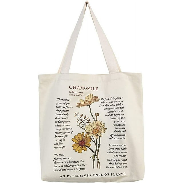 Bolso de mano de lona estético - Bolso de mano con cremallera y bolsillo interior por hombro Bolsas de mano para mujeres de compras, escuela