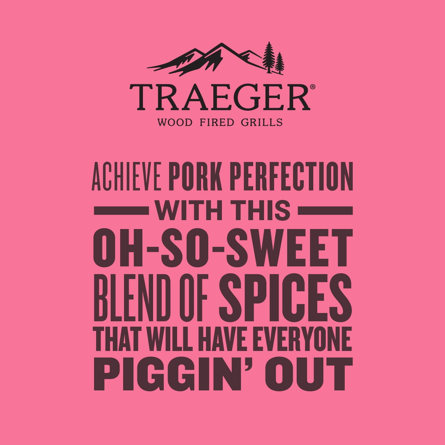 Traeger Grills Perfect Pork Rub , 5.25 oz bottle