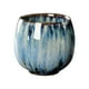 thumbnail image 1 of Taza de té de cerámica portátil sin asas, taza de café, taza de kung fu para la ceremonia del té C, 1 of 9
