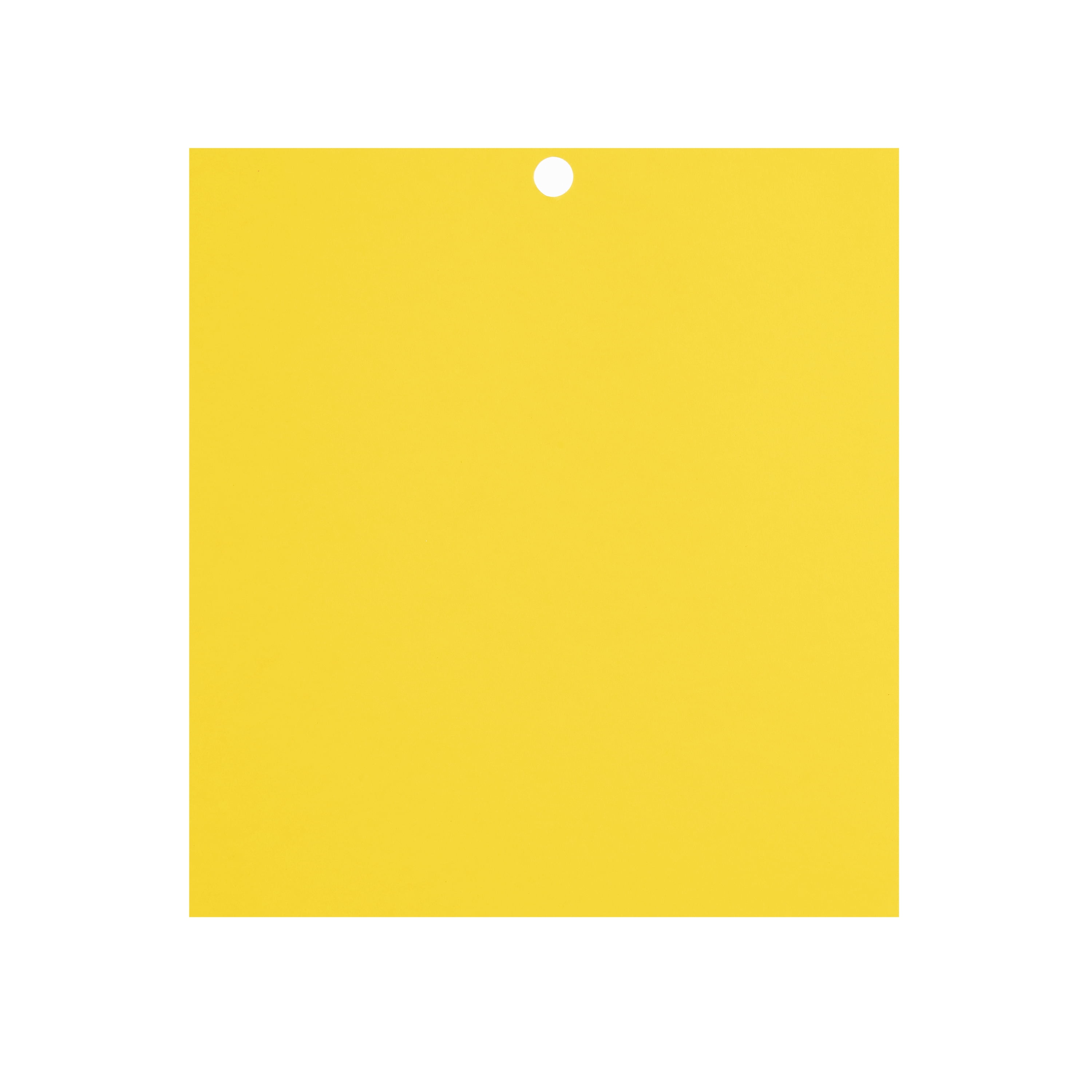 Recollections Primary 6" x 6.5" Cardstock Paper, 12 Packs: 100 ct. (1,200 total)