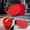 Red, variant on Car Wash Bucket Guard Insert, Red, Dirt separator screen for wash buckets, car detailing, sponge rinsing, garage cleaning supplies and vehicle care kits