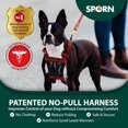 thumbnail image 2 of Sporn Small No Pull Dog Harness, Red Mesh Dog Harness, Durable Nylon Anti Pull Dog Harness, Breathable & Easy Dog Body Harness, 2 of 7