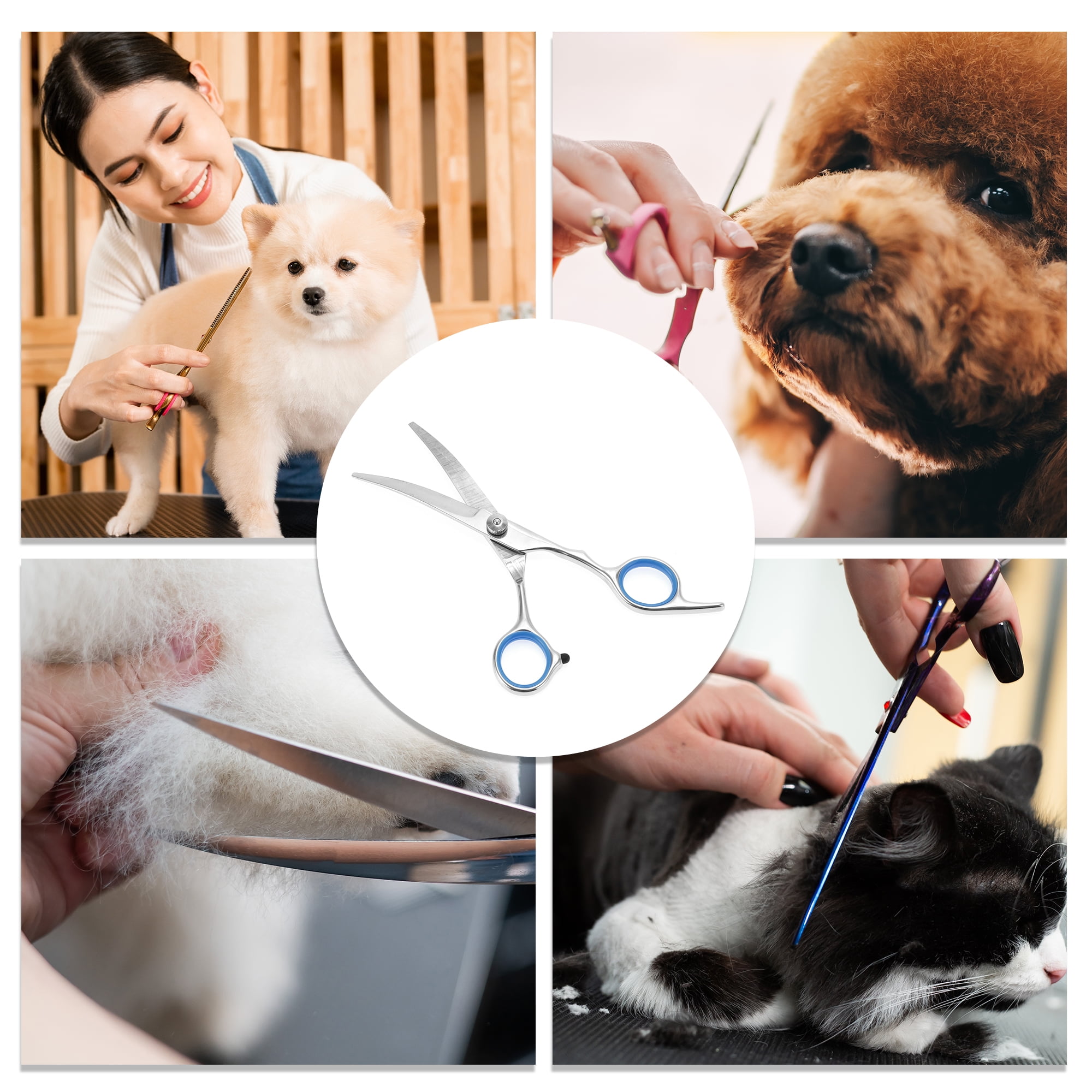 Unique Bargains 1 Pc Pet Grooming Scissors for Pets Shop 5.5 Inches Silver Tone Blue